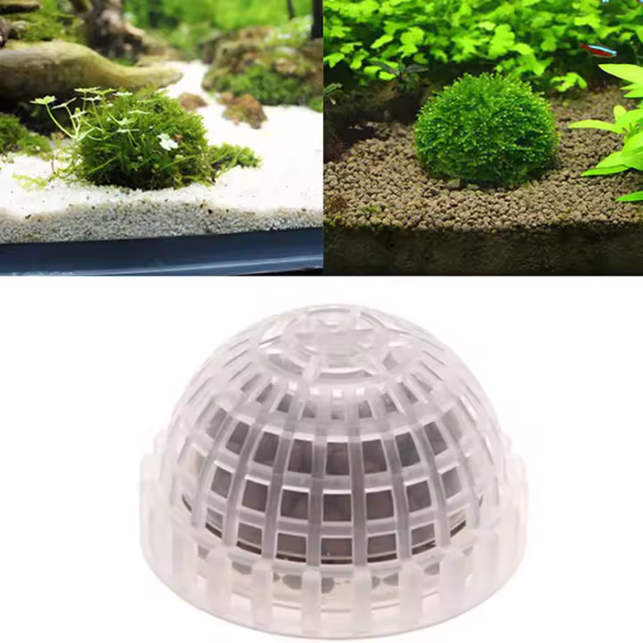 1pc Balón De Molusco Plástico Para Acuario Decoración Para Tanque De Peces Y Camarones Suministros Pet JETTING - 1