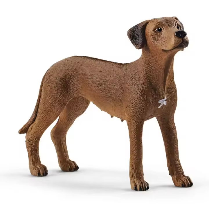 Schleich - Figura Realista Perro Crestado Rodesiano - Ideal para Niños - 1
