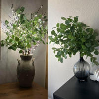 Rama Artificial De Eucalipto 60cm Hojas De Dólar Plateado Verdes Para Decoración De Casas Y Bodas Planta Falsa De Seda Sin Químicos Proveniente De Zhejiang China - details 4