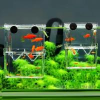 Incubador De Acuario Multifuncional Para Crecimiento De Peces Transparente 1L Con Doble Capacidad Para Guppies Y Reproducción De Peces - details 0
