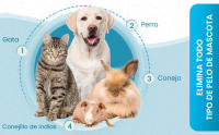 Removedor de pelo para mascotas, juego de rodillos quitapelos para perros y gatos + 3 bolas removedoras de pelo para lavadora, removedor de pelo para mascotas, cepillo removedor de pelo para mascotas, removedor de pelo para mascotas para mantener su hogar - details 4