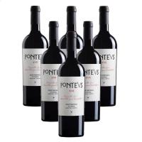 Blanco y Tinto Ponteus Tinto - Tempranillo, Syrah, Cabernet, Petit Verdot - Bodega Puente de Rus - Vino Tinto de la Mancha - details 1