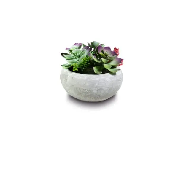 Planta Artificial Verde Maceta Redonda Achatada 12x12 - TAPIDECOR - 1