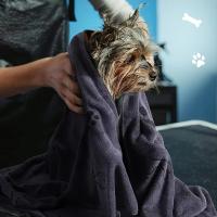 Toalla Para Mascotas 60x100cm Drying Rápido Microfibra Absorbente Azul Gris Para Perros Y Gatos Producto De Baño Para Animales - details 7