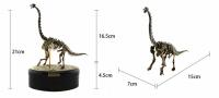 JSXuan Kit De Artesanía De Dinosaurios: Esqueleto De Triceratops Mamut Y Rex De Bones Asamblea Fósiles Para Jóvenes Y Adultos - details 5