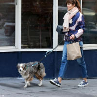 Correa Retráctil Para Perros Sin Manos Para Correr Con Doble Mano Cuerda Elástica Reflectante Gran Tamaño Suministros Para Mascotas - details 3