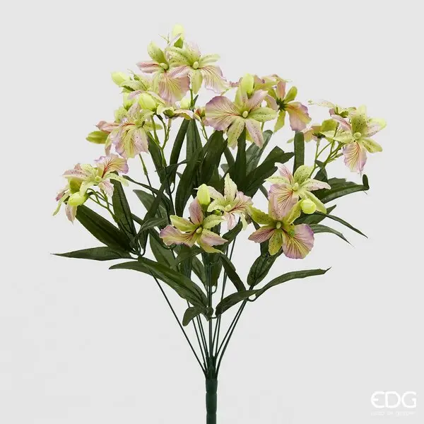 EDG Enzo De Gasperi Orquídea Elis Arbusto 12 Ramas H 55 Cm Violeta - 1