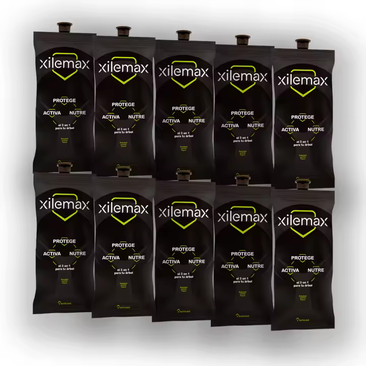 PACK x10 Tratamiento Abono para todo tipo de Árboles y Palmeras | Inyección Endoterapia con Abono 100% COMPLETO (Listo para Usar) | INCLUYE CONECTOR | Nutre, protege y activa sistema inmune - Xilemax - 1