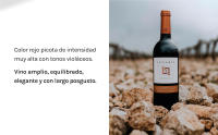 Legaris Crianza - Vino Tinto - DO Ribera del Duero - details 3
