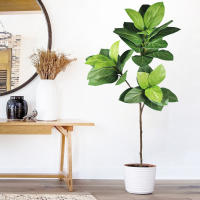 Falsa Hoja De Magnolia Y Ficus 105cm Para Decoración De Jardín Patio Interior Oficina Hoja De Figura Artificial De 41.3 Pulgadas - details 16