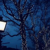 Luz De Fairy Solar LED Impermeable Para Exterior 22M/32M Guirnalda De Luces Para Decoración De Jardín Fiesta Navidad - details 9