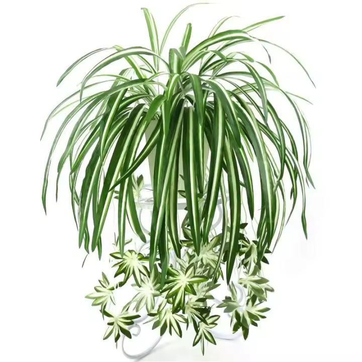 Pared De Plantas Artificiales Chlorophytum PVC Verde 65cm Decoración De Sala De Estar Falso Flor Simulación Rattan Origin China - 1