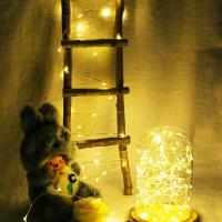Luces De Cadena USB De Cobre Y Plata Para Decoración De Fiesta Navidad Boda Festival Y Wedding Guirnalda De Luces LED Impermeable Luz De Navidad Para Decoración DIY - details 4