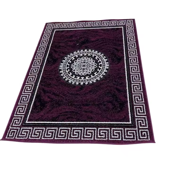 Alfombra de Salon Moderna de diseño VERSACH  De Pelo Corto en Polipropileno Frisse y 100% Lavable Ideal para Salón o habitacion  En varias Medidas y Colores - ALFOMBRAS IBERIA - 1