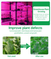 Luz De Crecimiento Para Plantas USB 5V LED Espectro Completo Para Invernadero Sistema De Cultivo Acuático Phytolamp Verde - details 6