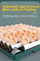 Incubadora de huevos de 9/15 con cajón, Mini incubadora de huevos con reposición automática de cama de agua iónica y control de temperatura - details 5