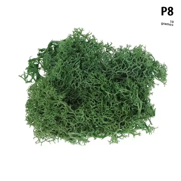 1Pc Moss Artificial De Colores Naturales Para Decoración De Joyería Jardín Y Epoxy Resina Decorativa Para Mesa - 1