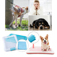 SMELL & SMILE  Bandeja Sanitaria de Adiestramiento Inodoro Interior para Perros Aseo Mascotas Bandeja de Entrenamiento para Mascotas Orinal para Perros Color Rosa(L 64 x 47cm) - details 6