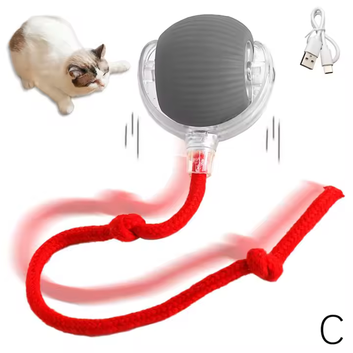 Juguete Interactivo Para Gatos Y Perros Bola Eléctrica Automática Recargable Imitación De Rata Entrenamiento Inteligente - 1