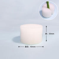 100PCS Jarrones De Cultivo Sin Tierra Con Esponja Para Plantas Herramientas De Jardinería Accesorios Para Vegetales Y Flores - details 5