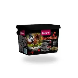Suplemento para caballos PAVO MUSCLEBUILD cubo de 3 kg - 1