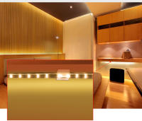Tira De LED Flexible 220V Alta Seguridad Alta Brillo 180LEDs/m 3000K 4000K 6000K Luz Exterior Impermeable Para Decoración De Paredes Y Techo - details 11