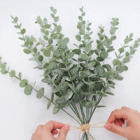 5/10/20Pcs Hojas De Eucalipto Artificiales Ramas Silver Dollar Flores Falsas Para Decoración De Bodas Y Eventos - details 17