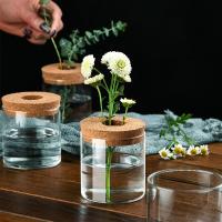 Maceta Creativa Para Plantas Hidroponicas Miniatura En Vidrio Transparente Decorativa Para Casa Y Salon Uso En Mesas - details 14