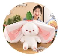 Muñeco De Peluche Transformable En Fresa Y Conejo De Zanahoria 25CM Juguete Suave Regalo Ideal Para Niños Y Adultos - details 20