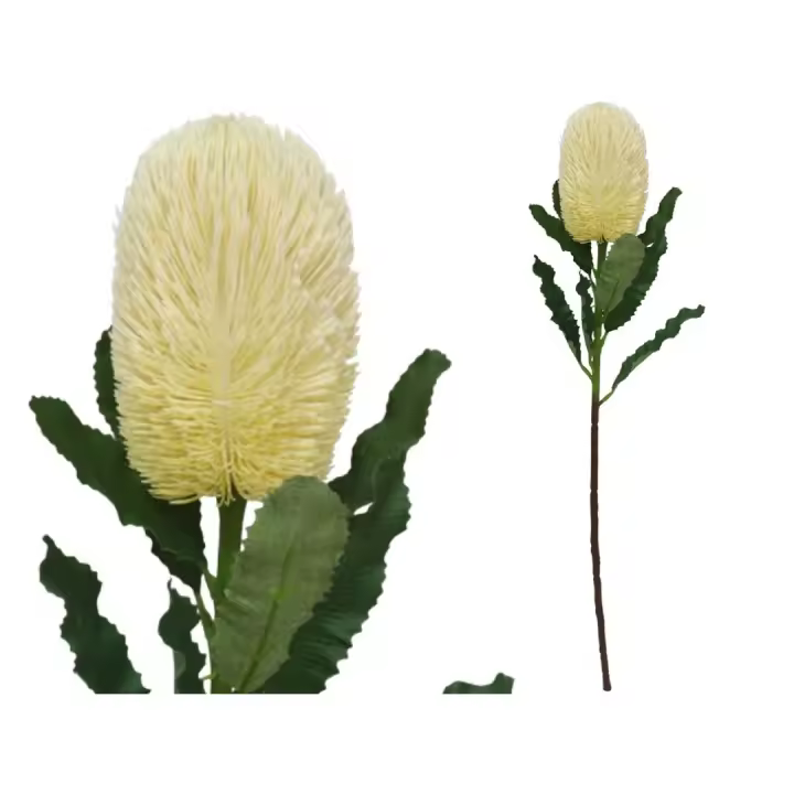 Factory Cuadros 4 VARAS BANKSIA -65 CM (CREMA) / FLORES ARTIFICIALES - 1