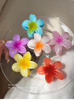 4PCS Clip Para El Cabello De Mujer Moda Con Flores Bohemia Accesorios Para El Cabello Grandes Barrettes Para Vacaciones - details 2