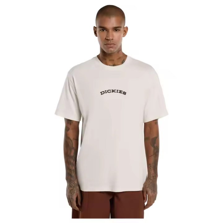 Textil Lifestyle marca Dickies modelo Dk0A4Z8Pc481 para hombre en color - 1