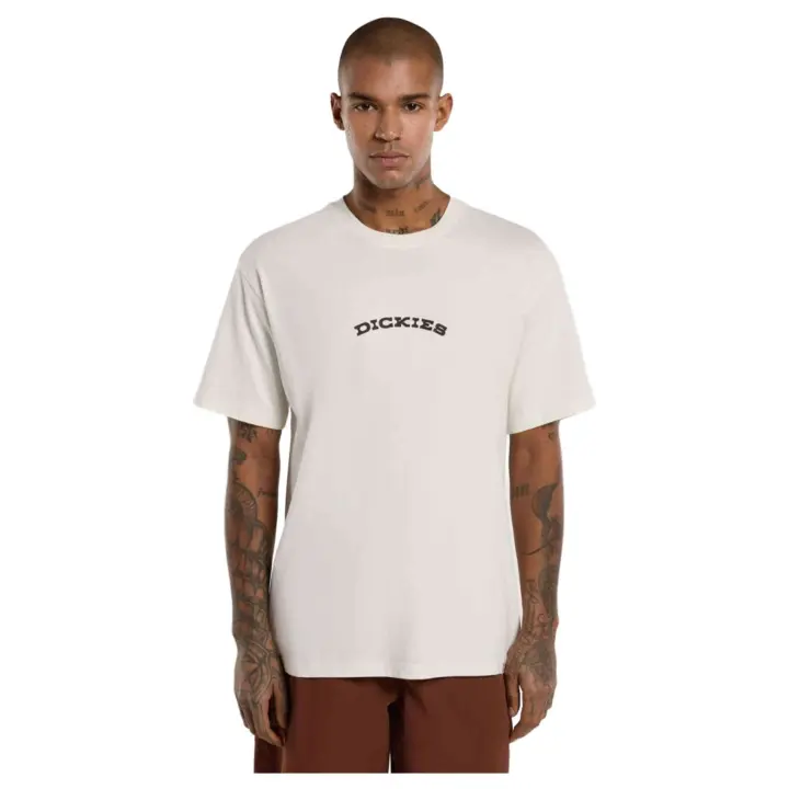 Textil Lifestyle marca Dickies modelo Dk0A4Z8Pc481 para hombre en color - 1
