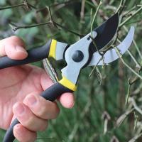 Muelles de podador de acero inoxidable de 8 piezas para accesorios de herramientas de jardinería - details 3
