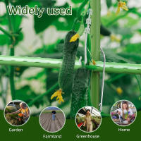 50Pc Hebilla De Conexión Para Trepaderes Plantas Metálica De Acero Inoxidable Soporte De Tubo Para Jardín Y Estufa Verde - details 4
