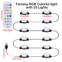 Cadena De Luces LED Festoon 10M Con 25LED Control Remoto Y APP RGB Impermeable Para Decoración De Jardín Y Navidad Iluminación Exterior - details 10