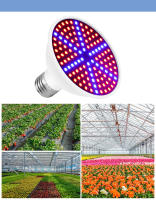 Lámpara LED De Crecimiento Para Plantas Espectro Completo Phytolamp Para Semillas De Flores Cultivo De Plantas En Hydroponics Growbox - details 9