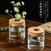 Maceta Creativa Para Plantas Hidroponicas Miniatura En Vidrio Transparente Decorativa Para Casa Y Salon Uso En Mesas - details 13