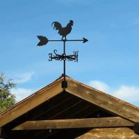 Vane De Gallo De Hierro Fundido Decoración Para Exterior De Jardín Y Techo Accesorios Metálicos Para Casa Estilo Europeo - details 1