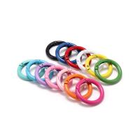 5Pcs/Lote Anillos Metálicos Abrepuertas 21 Colores Clip De Cadena Para Perros Conector De Joyería DIY Hebilla De Llavero Con Resorte - details 3