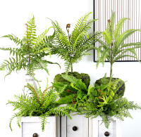 Hoja De Ferni Artificial Grama Persa Accesorios Para Pared De Plantas Verdes Decoración DIY De Jardín Para Hogar Hotel Oficina - details 7