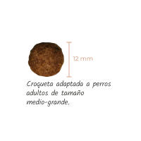 Lenda Nature Senior/Mobility 12KG - Alimento Seco para Perros - details 0