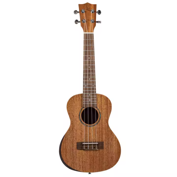 Ukelele Concert Bones SP310C Caoba Salida - 1