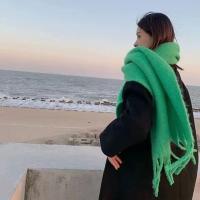 Bufanda De Pashmina Suave Para Invierno Para Mujeres Y Niñas Color Sólido Larga Con Borlas Gruesa Y Ternura Abrazadora Multifuncional Para Casual - details 2