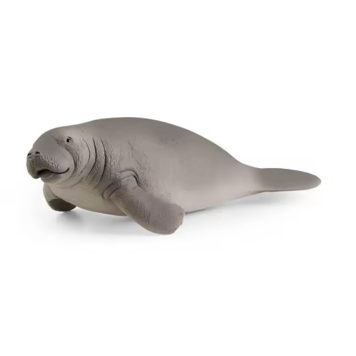 Figura Vaquita Marina Schleich WILD LIFE - Detalles Realistas - Juguete Educativo 3-8 Años - 1