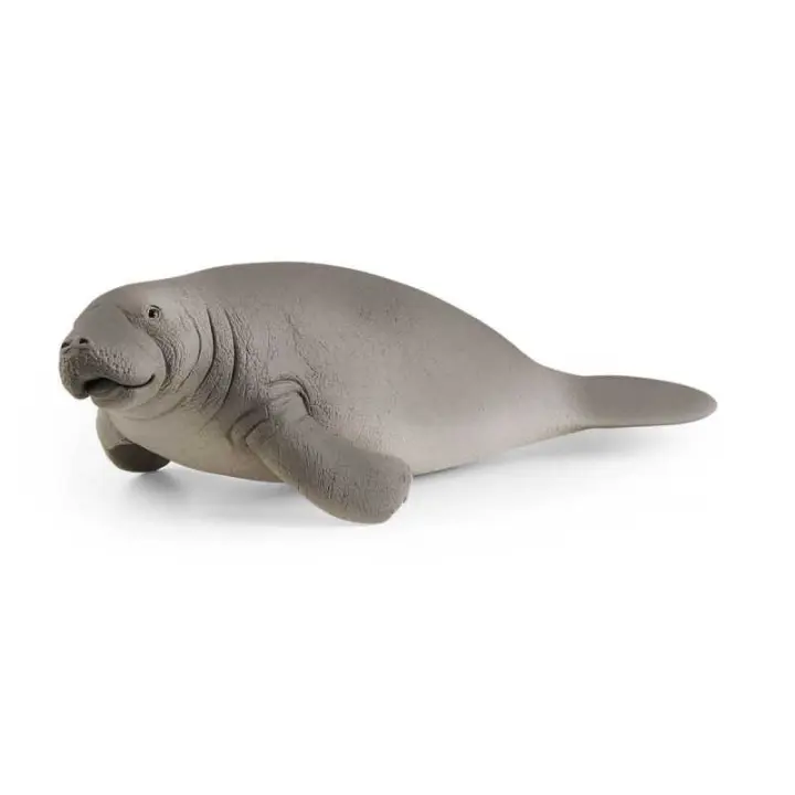 Figura Vaquita Marina Schleich WILD LIFE - Detalles Realistas - Juguete Educativo 3-8 Años - 1