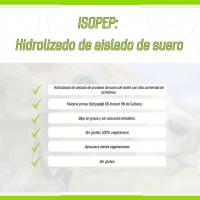 FULLGAS - ISOPEP - Hidrolizado de aislado de proteína | Neutro | 1 kg - Hidrolizado de aislado de proteína de suero con materia prima Optipep® (Carbery). Alto contenido en proteínas, bajo en grasa, sin azúcares añadidos, sin gluten - details 2