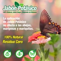 FERTIBONO Jabón Potásico con Aceite de Coco 750ml - Efectivo contra Pulgón, Cochinilla, Ácaros - 100% Natural y Residuo Cero - Made in Spain - details 1