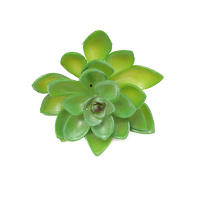12 Piezas De Mini Plantas De Suculentas Artificiales Para Decoración No Envasadas Colores Aleatorios Para Jardín Al Aire Libre Y Fiestas - details 10