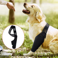 Protector De Rodilla Para Perro Recuperación De Lesiones Soporte Fijo Para Articulaciones Alivio Del Dolor Cubierta Para Pies Envoltura De Apoyo Para Piernas Accesorio Para Mascotas - details 1